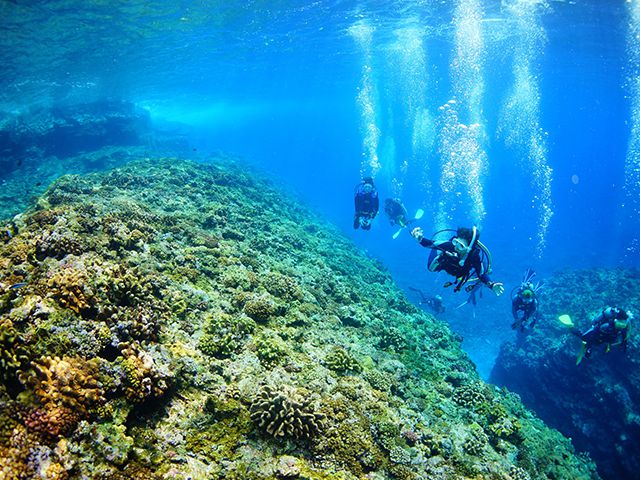 photo of Keramashoto National Park: Diving Enthusiasts