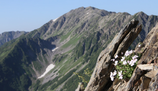 photo of Minami Alps National Park