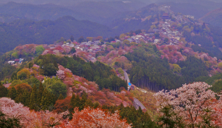 photo of Yoshino-Kumano National Park