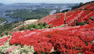 photo of Saikai National Park