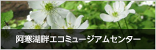 阿寒湖畔エコミュージアムセンター[新しいウィンドウで開きます]