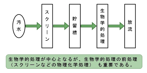 図２