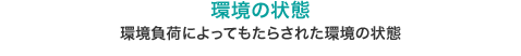 環境の狀態：環境負荷によってもたらされた環境の狀態